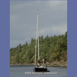 2003_5642_Princess_Cove.html