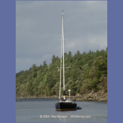 2003_5643_Princess_Cove.html
