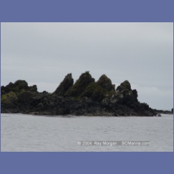 2003_3826_Pinnacle_Island_Quatsino_Sound.html