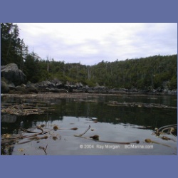 2001_135_Spider_Island_Queens_Sound.html