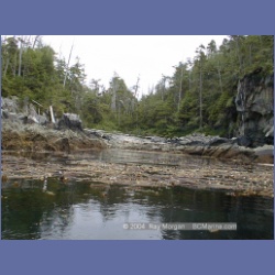 2001_136_Spider_Island_Queens_Sound.html