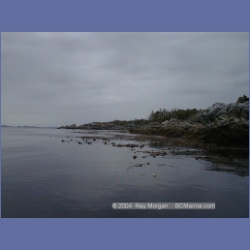 2001_137_Spider_Island_Queens_Sound.html