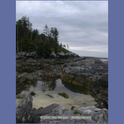 2001_140_Spider_Island_Queens_Sound.html