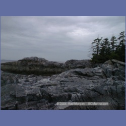 2001_141_Spider_Island_Queens_Sound.html