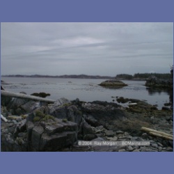 2001_142_Spider_Island_Queens_Sound.html