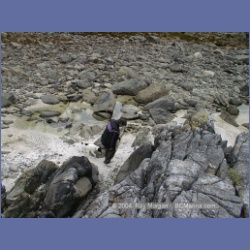 2001_143_Spider_Island_Queens_Sound.html