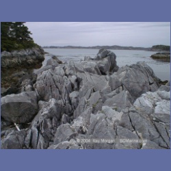 2001_144_Spider_Island_Queens_Sound.html