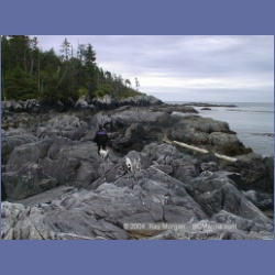 2001_145_Spider_Island_Queens_Sound.html