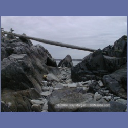 2001_146_Spider_Island_Queens_Sound.html
