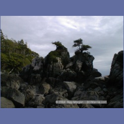 2001_147_Spider_Island_Queens_Sound.html