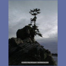 2001_148_Spider_Island_Queens_Sound.html