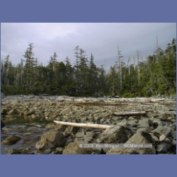 2001_149_Spider_Island_Queens_Sound.html