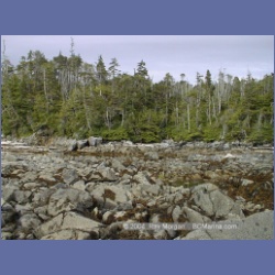 2001_150_Spider_Island_Queens_Sound.html