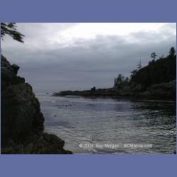 2001_151_Swordfish_Bay_Queens_Sound.html