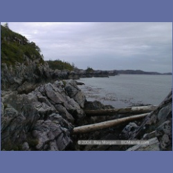 2001_153_Swordfish_Bay_Queens_Sound.html