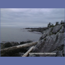 2001_158_Swordfish_Bay_Queens_Sound.html