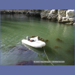 2000_457_Rivers_Inlet.html