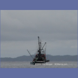 2003_3980_Seiner_Rivers_Inlet.html