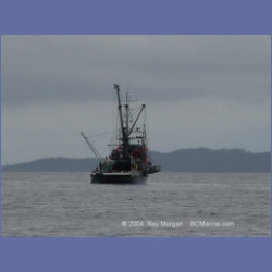 2003_3981_Seiner_Rivers_Inlet.html