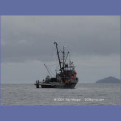 2003_3982_Seiner_Rivers_Inlet.html