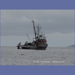 2003_3983_Seiner_Rivers_Inlet.html