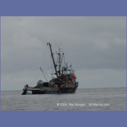 2003_3984_Seiner_Rivers_Inlet.html