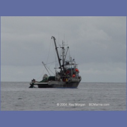 2003_3985_Seiner_Rivers_Inlet.html