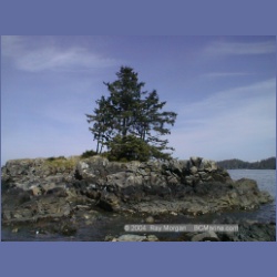 2002_822_Roller_Bay_Hope_Island.html
