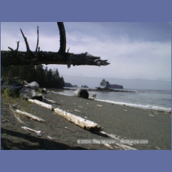 2002_828_Roller_Bay_Hope_Island.html