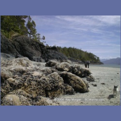2002_276_Rolling_Roadstead_Esperanza_Inlet.html