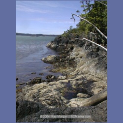 2002_279_Rolling_Roadstead_Esperanza_Inlet.html