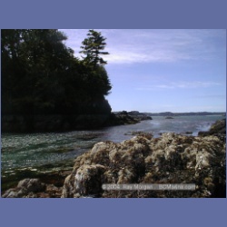 2002_284_Rolling_Roadstead_Esperanza_Inlet.html