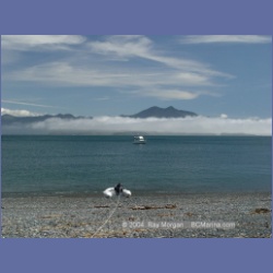 2003_3218_Rolling_Roadstead_Catala_Island.html