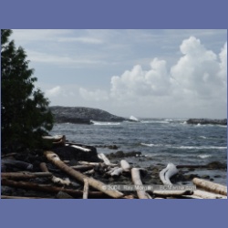 2004_6992_Rudolf_Bay_Price_Island.html