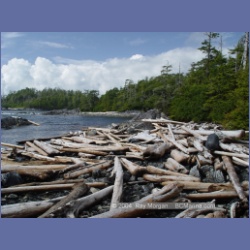 2004_6993_Rudolf_Bay_Price_Island.html