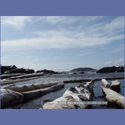 2004_6995_Rudolf_Bay_Price_Island.html