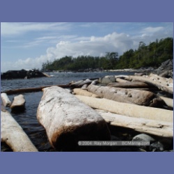 2004_6997_Rudolf_Bay_Price_Island.html