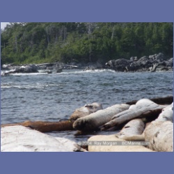 2004_6998_Rudolf_Bay_Price_Island.html