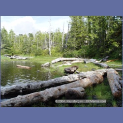 2004_7003_Rudolf_Bay_Price_Island.html