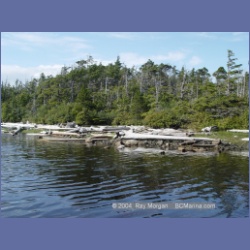 2004_7005_Rudolf_Bay_Price_Island.html