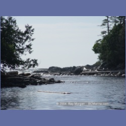 2004_7007_Rudolf_Bay_Price_Island.html