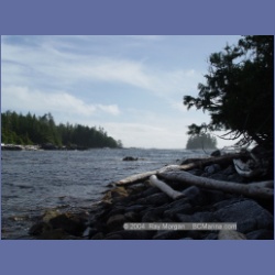 2004_7008_Rudolf_Bay_Price_Island.html