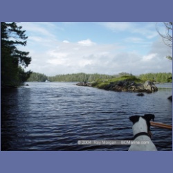 2004_7013_Rudolf_Bay_Price_Island.html