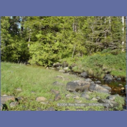 2004_7016_Rudolf_Bay_Price_Island.html