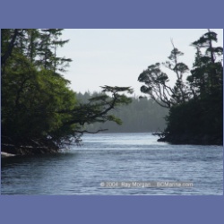 2004_7018_Rudolf_Bay_Price_Island.html