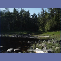 2004_7019_Rudolf_Bay_Price_Island.html
