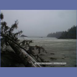 2002_309_Rugged_Point_KyuquotSound.html