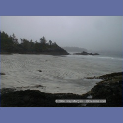 2002_310_Rugged_Point_KyuquotSound.html