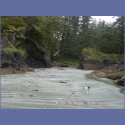 2002_312_Rugged_Point_KyuquotSound.html