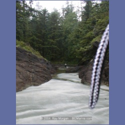 2002_313_Rugged_Point_KyuquotSound.html